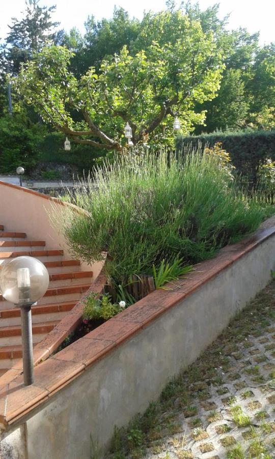 Villa Rosa Caporciano Exterior foto